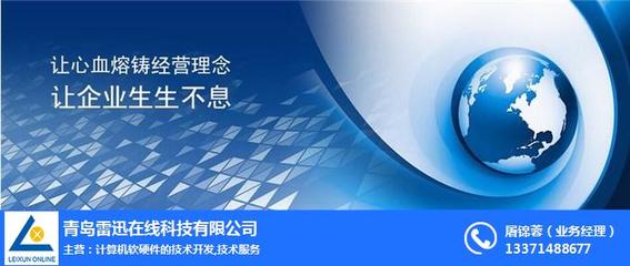 上海網(wǎng)站推廣與計算機(jī)軟硬件技術(shù)開發(fā) 雷迅在線的綜合服務(wù)策略